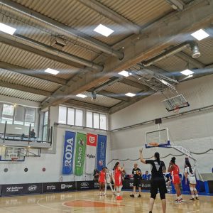 Najbolje reprezentacije u Beogradu: Poznati svi učesnici četvrtfinala pripremnog turnira!